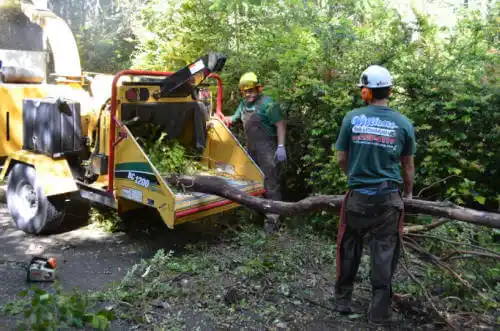 tree services Marine